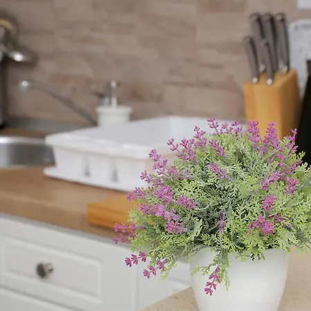 Marija Vukas Apartamento *